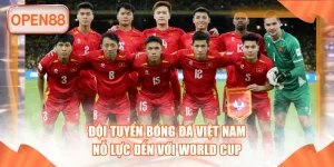 Đội Tuyển Bóng Đá Việt Nam - Nỗ Lực Đến Với World Cup